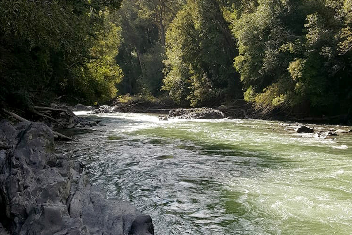 parque_puyehue_ok